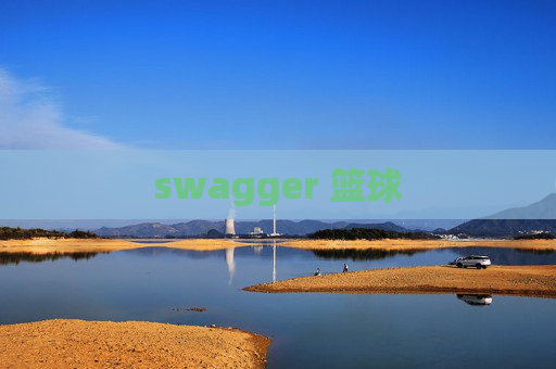 swagger 篮球
